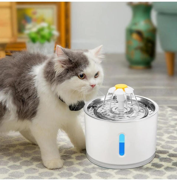 Pet USB Drinking Dispenser